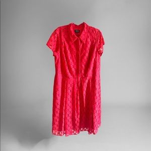 Adrianna Papell Lace Dress In Strawberry Pink